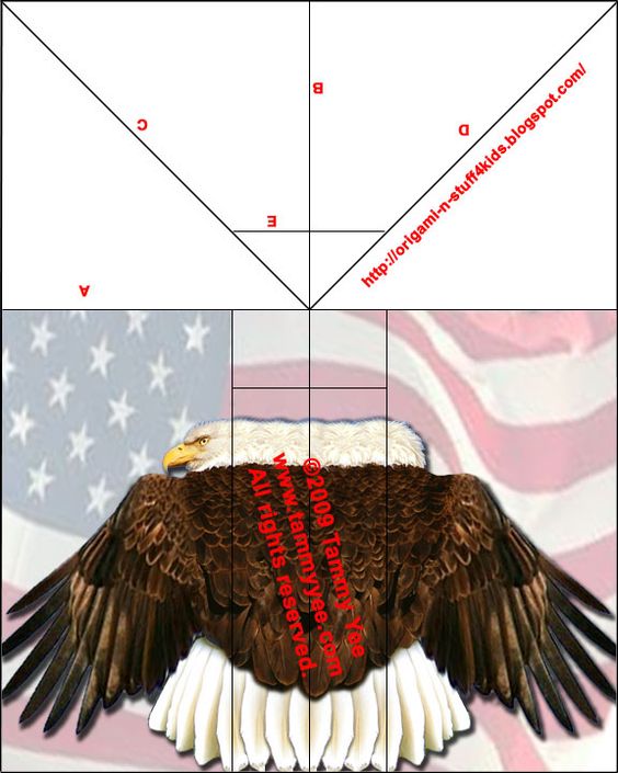 eagle paper plane instructions